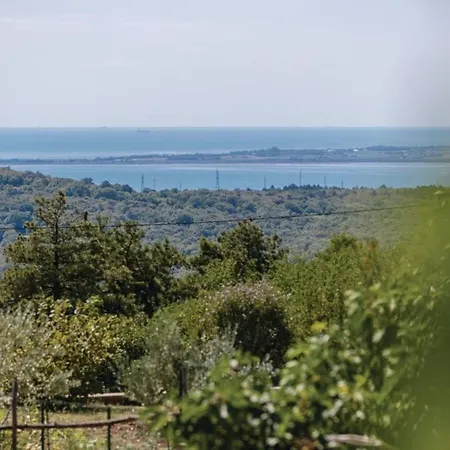 Pool Sistiana Sela na Krasu